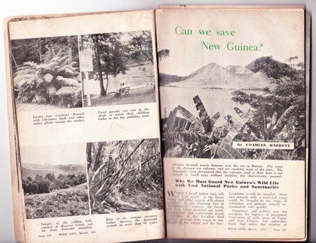 Last page of feature article about Emerald Lake Park in Wild Life magazine, 1951 showing three photos of Emerald Lake Park and one photo of Menzies Creek landscape.