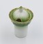 Ceramic salt cellar with green band and gold rim on white background.

