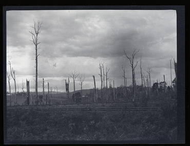 Black and white negative - landscape view - of the railway line at Gembrook. The railway is in the foreground. The landscape is bare apart from dead and ringbarked trees.