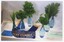 Two sets of three bottles of different herbs with a Best Exhibit ribbon around one set.