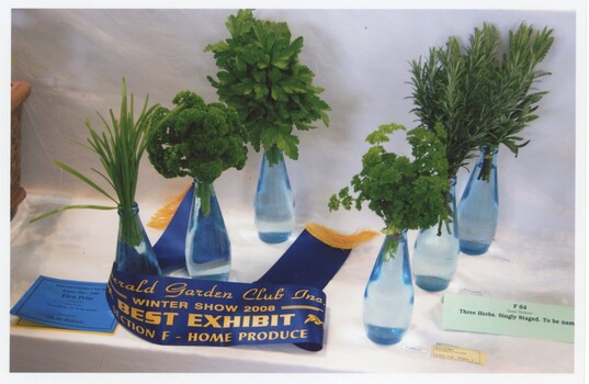 Two sets of three bottles of different herbs with a Best Exhibit ribbon around one set.