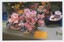 Exhibit of camellias and azaelas in cup and saucer on tray with a 'Second Prize' card.