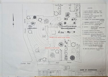 Survey map of the Nobelius nursery