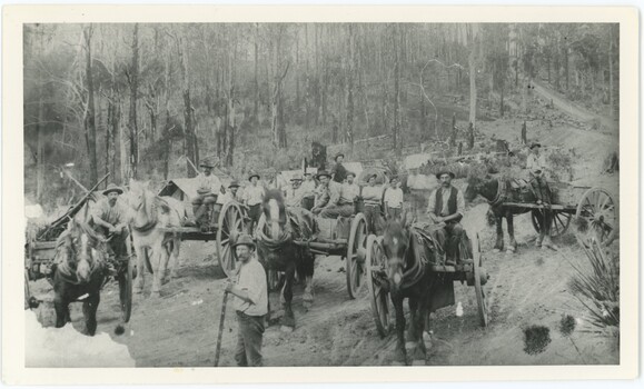 Black and white photograph depicting men and horses building a road amongst trees.