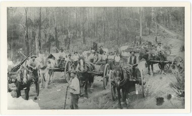 Black and white photograph depicting men and horses building a road amongst trees.