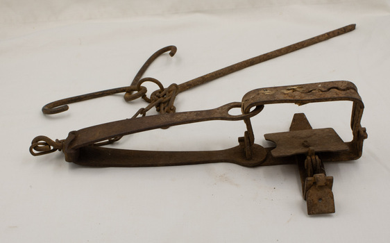 Rabbit trap with spike and two pegs