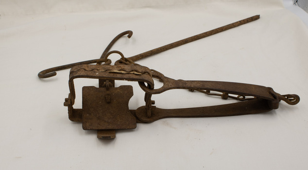 Rabbit trap with 'pedal' in foreground