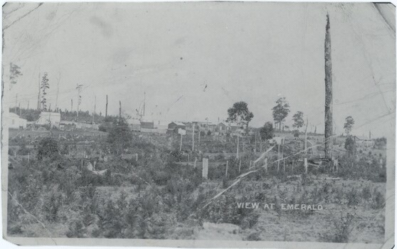 A black and white photograph depicting a landscape view of trees and buildings.