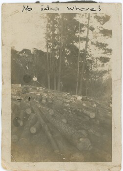A black and white photograph depicting fallen trees and a forested background.