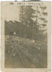 A black and white photograph depicting fallen trees and a forested background.