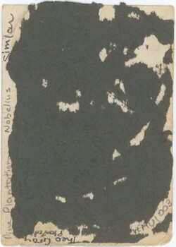 The rear of a photograph, with some handwriting in pencil and some damage to the backing.