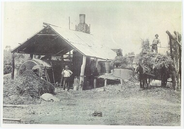 A black and white photograph of two men working at a eucalyptus distillery.
