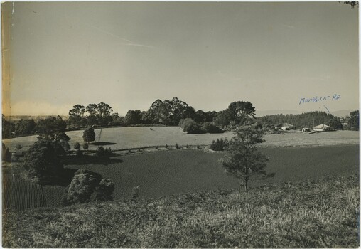 Black and white photograph of a landscape with a road
