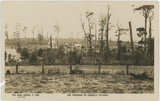 Black and white postcard depicting a field with houses and trees in the background.
