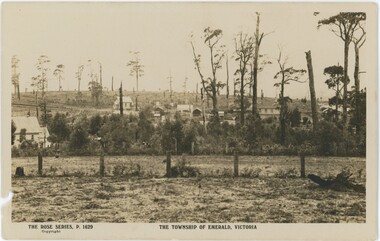 Black and white postcard depicting a field with houses and trees in the background.