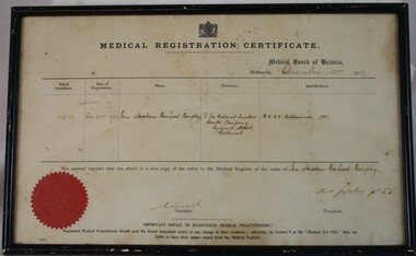 Medical Registration Certificate with text. Red seal in bottom left-hand corner.