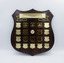 A wooden perpetual shield trophy plaque with brass shield-shaped plates, a name ribbon design, and the league's logo - a green bird and the name of the league - in the centre.