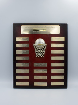 A wooden perpetual trophy plaque with brass plates and a brass netball hoop and ball in the center.