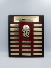 A wooden perpetual trophy plaque with brass plates and a brass netball hoop and ball in the center.