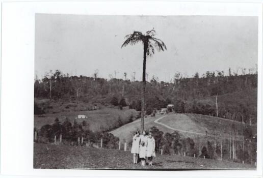 A black and white photograph featuring four young indiduals standing in front of a landscape of farmland and forest.