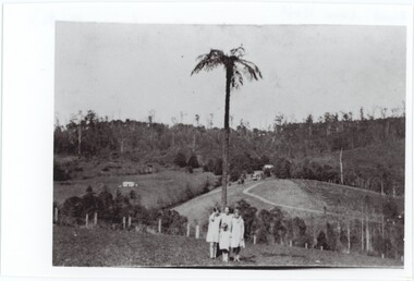 A black and white photograph featuring four young indiduals standing in front of a landscape of farmland and forest.