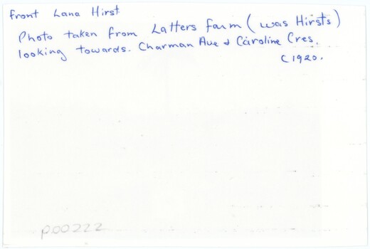 The paper reverse of a photograph, with writing in blue pen.
