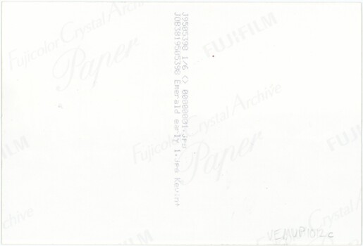 The reverse of a photograph, containing technical information, corporate logos for the brand of photo paper, and an accession number.