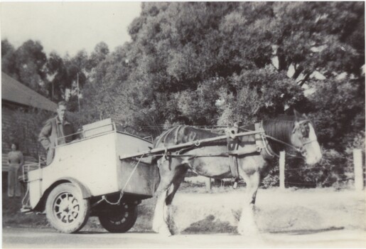 Black and white photograph of a man standing on a horsedrawn cart.