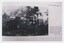 A photograph capturing a book page, itself containing a black and white photograph and printed caption text.