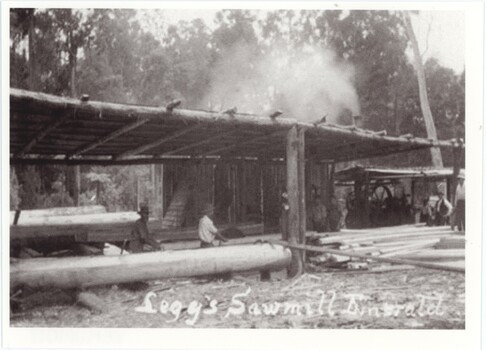 A black and white photograph of an open-air, rooved wooden structure with workers, machinery, logs, and processed timber.