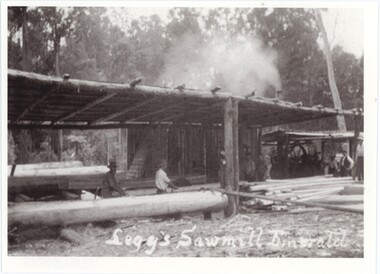 A black and white photograph of an open-air, rooved wooden structure with workers, machinery, logs, and processed timber.