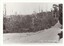 A blurry black and white photograph of an unpaved road, with trees either side.