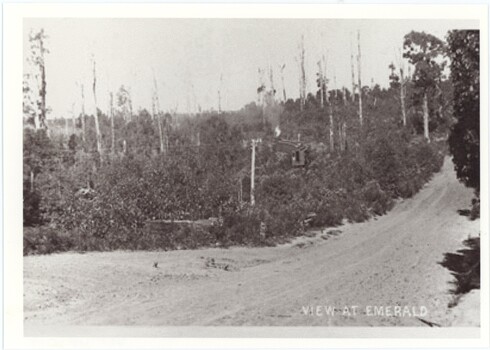 A blurry black and white photograph of an unpaved road, with trees either side.