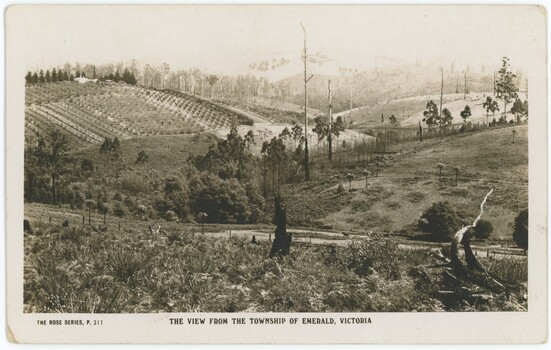 A sepia postcard, featuring a view from the top of a hill looking over a landscape of rolling hills with fields and a nursery.
