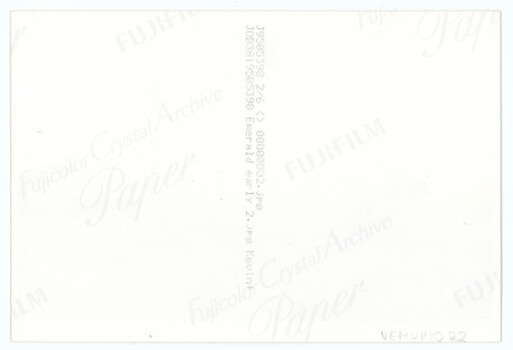 The reverse of a printed photograph, with a handwritten accession number and printed logos and technical information.