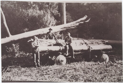 A printed black and white photograph featuring three men sitting or leaning on a wagon carrying logs.