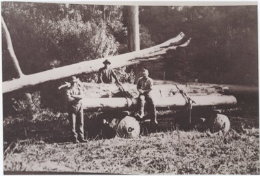 A printed black and white photograph featuring three men sitting or leaning on a wagon carrying logs.