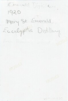 The reverse of a printed photograph, with an accession number, annotations, and a faint Epson logo.