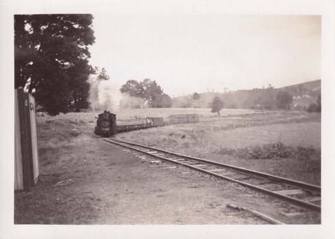 Approaching steam train with the line running through paddocks.