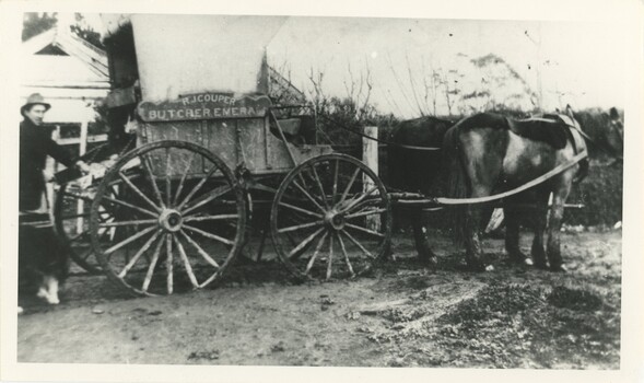 A black and white photograph of a horsecart with a man standing behind it.