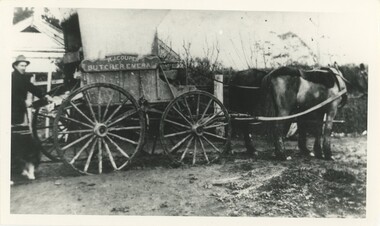 A black and white photograph of a horsecart with a man standing behind it.