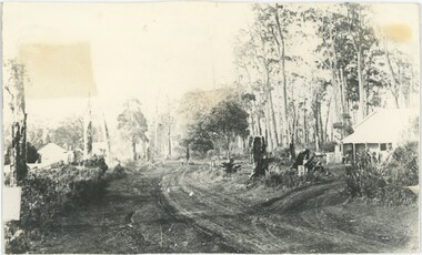 A black and white photograph depicting an unpaved road with buildings and bushland on either side.