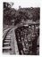 View of Selby Trestle Bridge taken from the bridge.