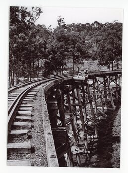 View of Selby Trestle Bridge taken from the bridge.