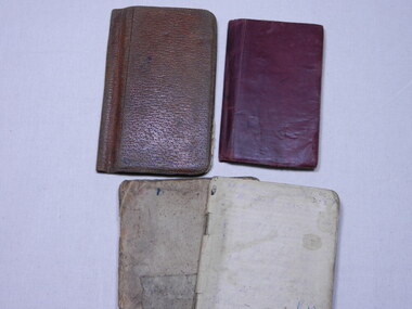 Diary of William Milne Thomson  -  (Item held at Monash Memorial Defence Library), William Milne Thomson, December 1916 to March 1919