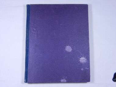 Diary of William Mitchell Montgomery  -  (Item held at Monash Memorial Defence Library), William Mitchell Montgomery, November 1917 to May 1919
