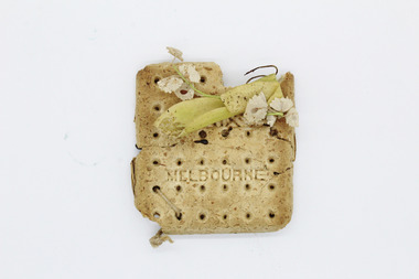 Ornamental biscuit, Phoenix Co, 1914-1918