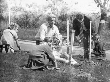 Photograph, ELTHAM ARBOR DAY 1973 - Alistair Knox with school children of the Shire of Eltham, Vic, planting native trees in the Town Park, 10 October 1973, 1973-10-10