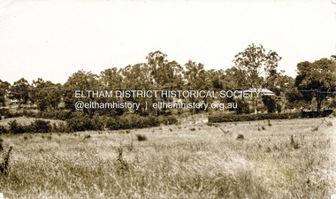 Photograph, Peter Bassett-Smith, 22 York Street, Eltham (renumbered 28), c.1933
