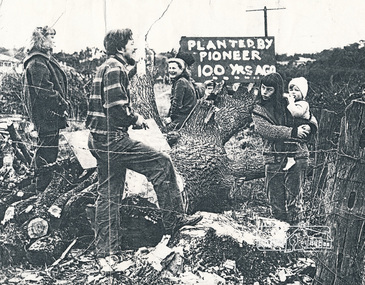 Photograph, Protesters against tree felling, Eltham,  1958, 1956